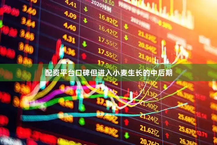 配资平台口碑但进入小麦生长的中后期